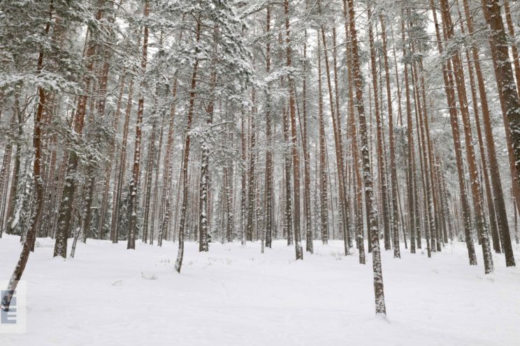 Attēls rakstam: Aizvadīts 1. posms “Zilo kalnu apļu 2026” treniņslēpojumā