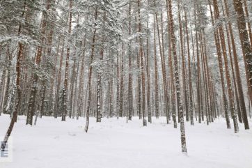Attēls rakstam: Aizvadīts 1. posms “Zilo kalnu apļu 2026” treniņslēpojumā