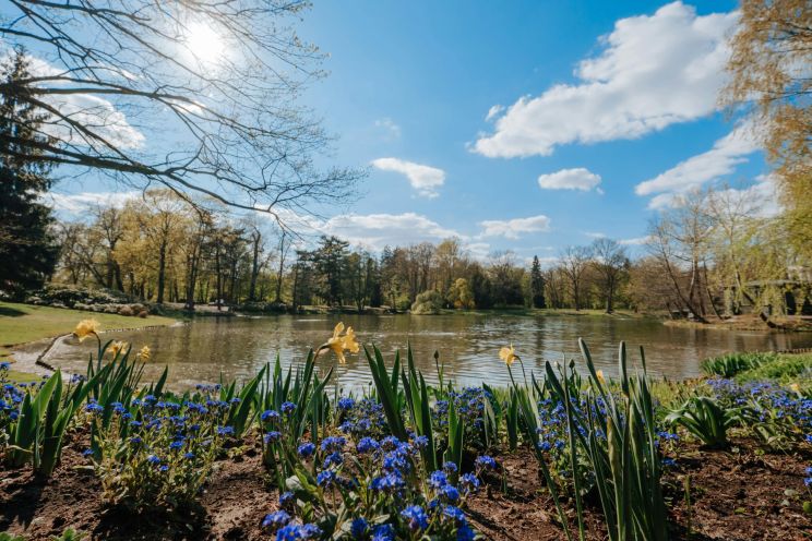 Attēls rakstam: Tuvākajās dienās gaiss lēnām iesils un būs maz nokrišņu