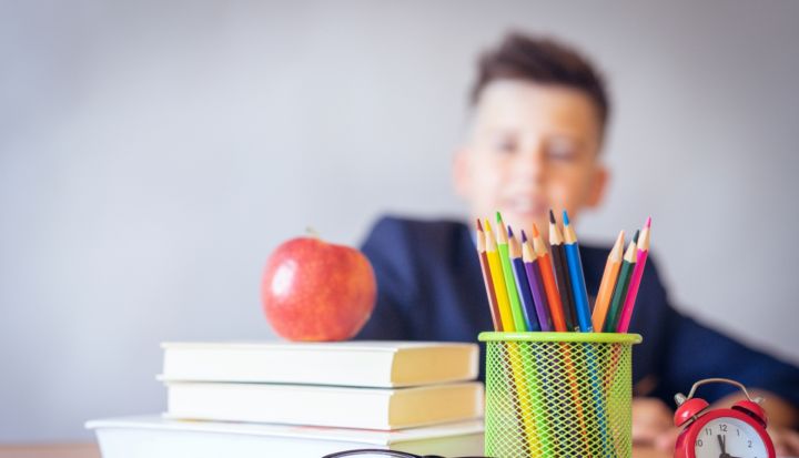 No 2. marta elektroniski varēs pieteikt topošos pirmklasniekus Ogres pilsētas skolās