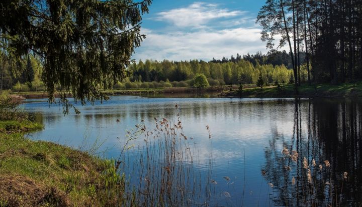 Ogres novada neoficiālajās peldvietās ūdens kvalitāte atbilst prasībām