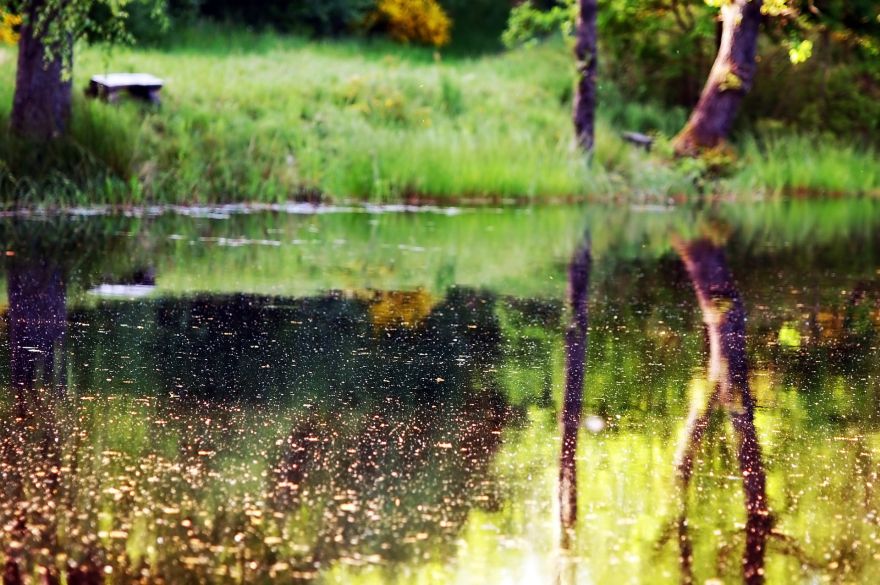 Aprīlis Latvijā bijis 1,3 grādus siltāks par normu; visvairāk nokrišņu - Ogresgalā