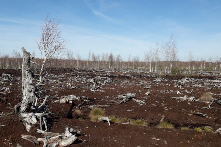 Attēls rakstam: Ekosistēmu stabilitāte ir tieši atkarīga no klimata 