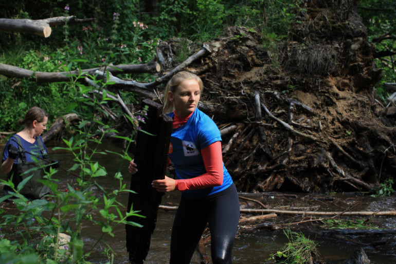 Kāpēc Latvijā atkal ļauj upēm līkumot? Eksperte stāsta par upju iztaisnošanas sekām, ko visi jūtam