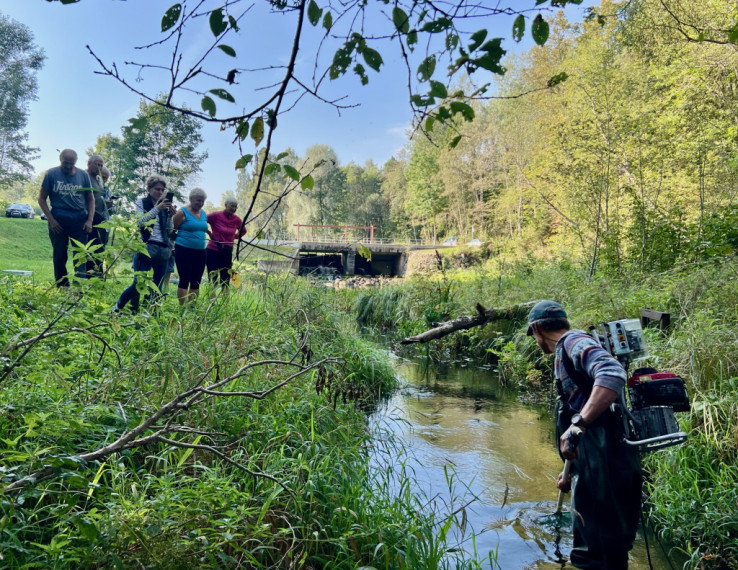 Kāpēc Latvijā atkal ļauj upēm līkumot? Eksperte stāsta par upju iztaisnošanas sekām, ko visi jūtam