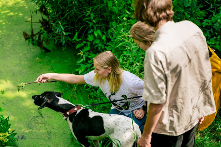 Kāpēc Latvijā atkal ļauj upēm līkumot? Eksperte stāsta par upju iztaisnošanas sekām, ko visi jūtam