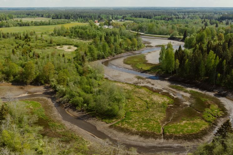 Attēls rakstam: Kāpēc Latvijā atkal ļauj upēm līkumot? Eksperte stāsta par upju iztaisnošanas sekām, ko visi jūtam