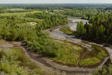 Attēls rakstam: Kāpēc Latvijā atkal ļauj upēm līkumot? Eksperte stāsta par upju iztaisnošanas sekām, ko visi jūtam