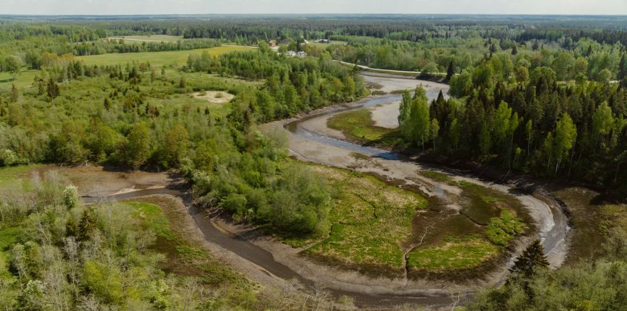 Kāpēc Latvijā atkal ļauj upēm līkumot? Eksperte stāsta par upju iztaisnošanas sekām, ko visi jūtam