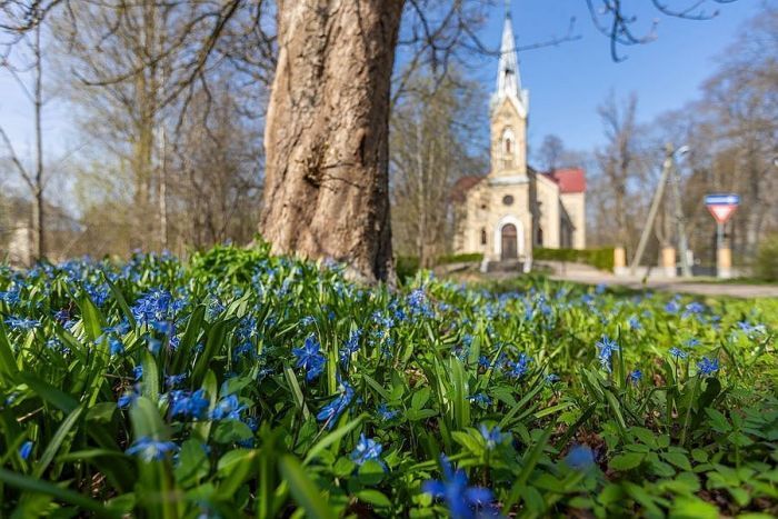Atbild iedzīvotāji. Vai jūtat pavasara nogurumu? Kā ar to cīnāties vai sadzīvojat?