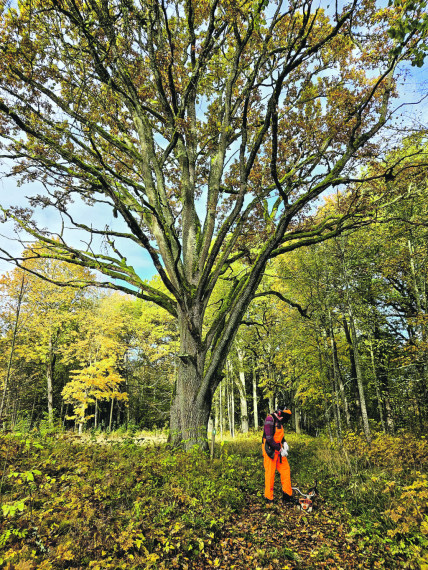 Krapes bagātības muižas parka talkā