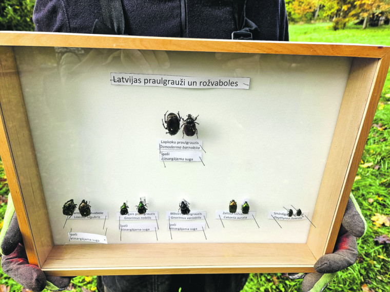 Krapes bagātības muižas parka talkā