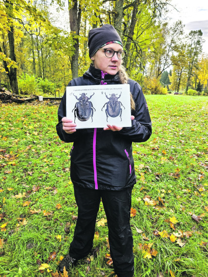 Krapes bagātības muižas parka talkā