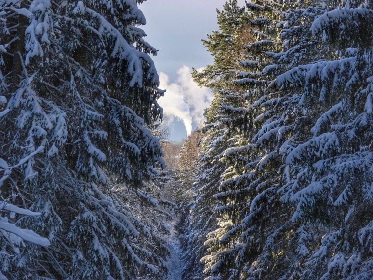 Foto: Ogre tērpjas ziemas rotā