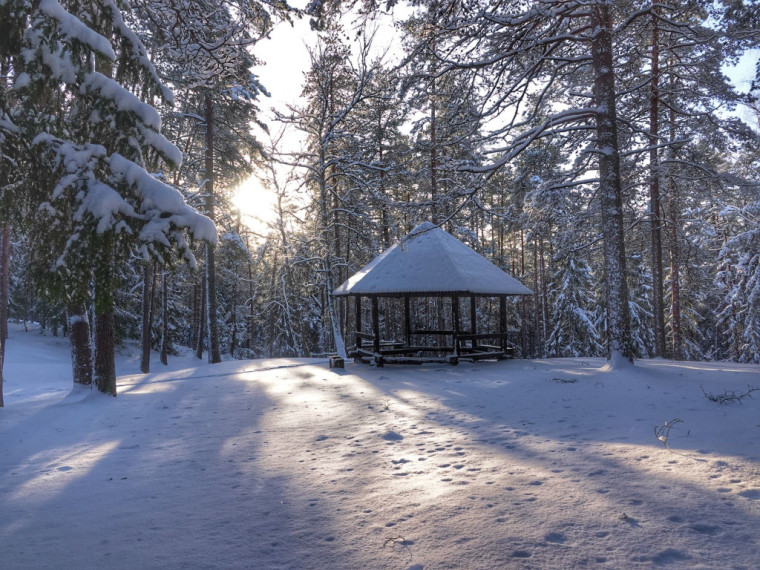 Foto: Ogre tērpjas ziemas rotā