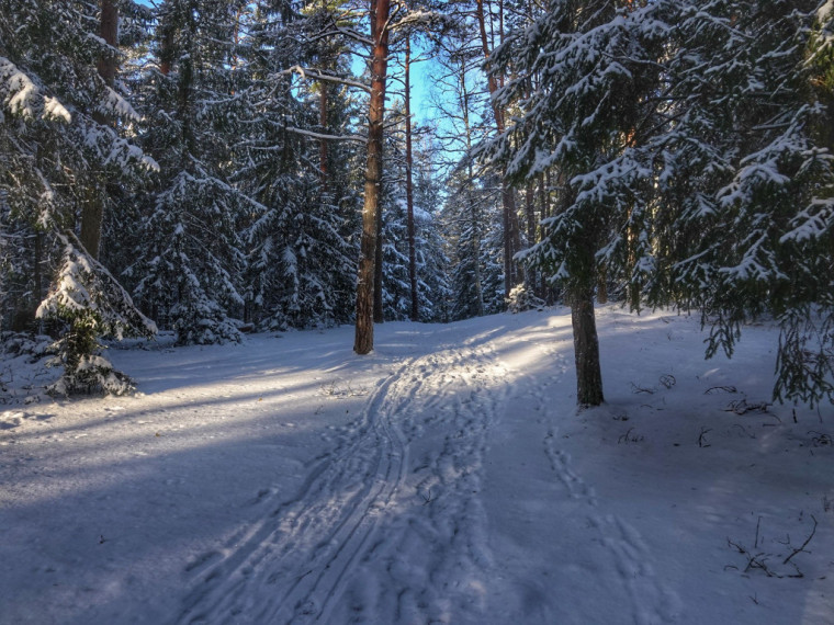Foto: Ogre tērpjas ziemas rotā