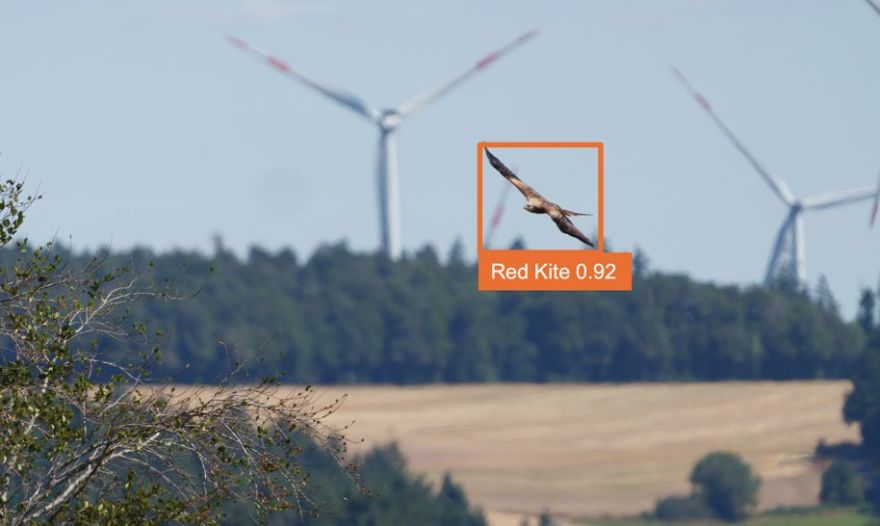 Kā vēja parki sadzīvo ar putniem? Skaidro "Latvenergo" eksperte
