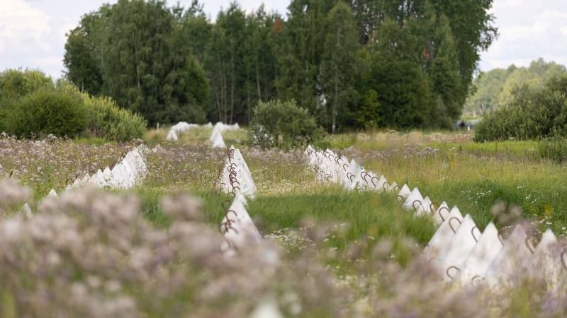 Izskan rosinājums izsludināt ārkārtējo situāciju Latvijas austrumu pierobežā