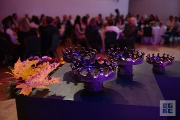 Attēls rakstam: Foto: Ogrē godinātas komandas par izcilu kopdarbu izglītībā
