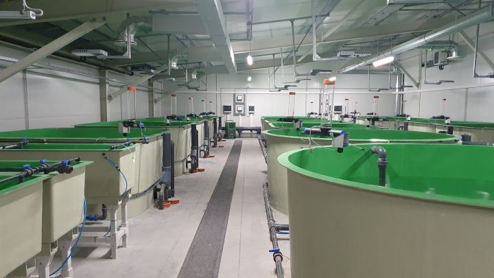 Tomes pagastā atklās Akvakultūras inovāciju infrastruktūras centru