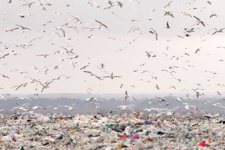 Attēls rakstam: 12 000 000 tonnu atkritumu gaida degošu risinājumu 
