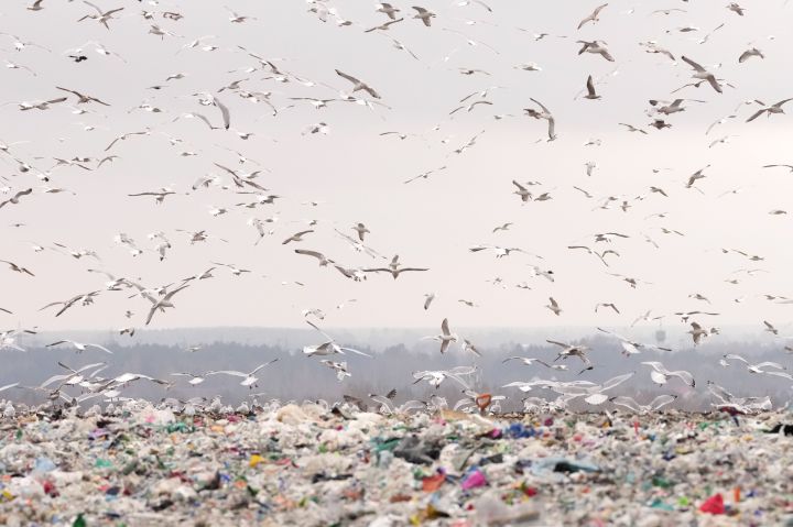 12 000 000 tonnu atkritumu gaida degošu risinājumu 
