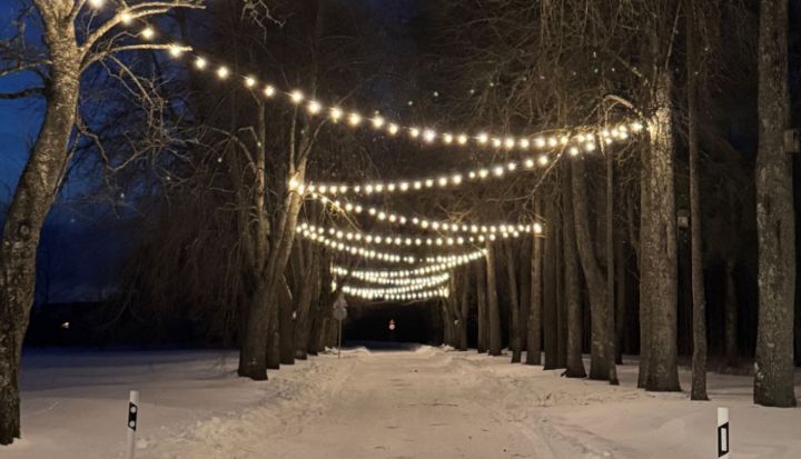 Tomē iemirdzas iedzīvotāju ideja - Tomes gaismas aleja