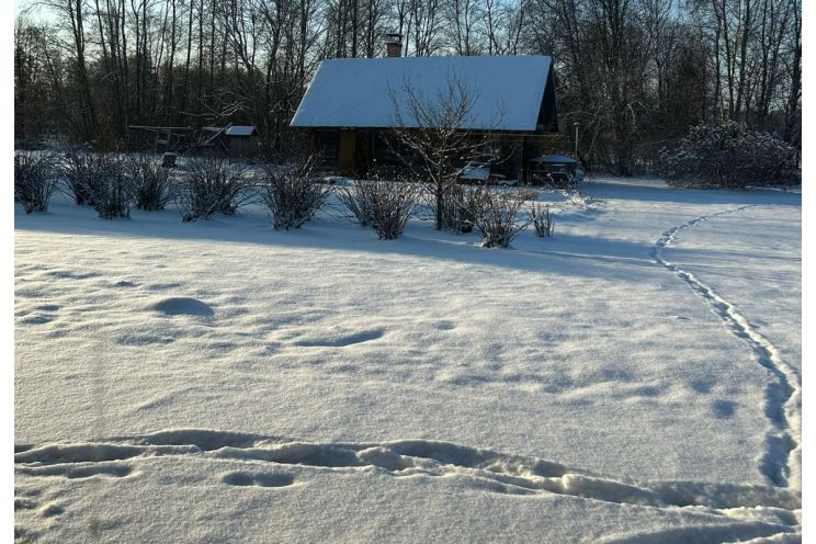 Attēls rakstam: Sinoptiķi izsludina dzeltenās pakāpes brīdinājumu
