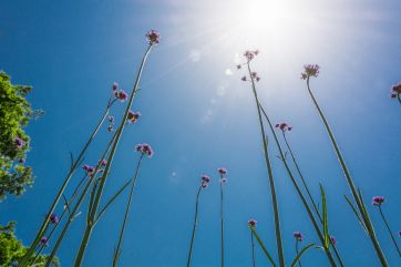 Attēls rakstam: Arī nedēļas otrā diena būs sausa un saulaina