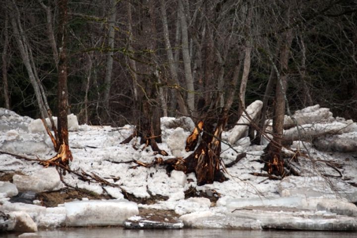 Latvijā palu sezona noslēgusies bez plaša mēroga plūdiem