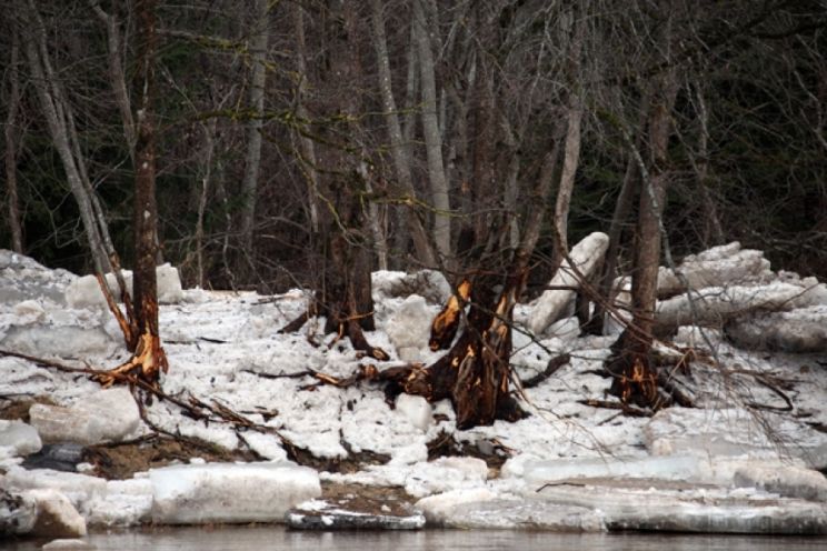 Attēls rakstam: Latvijā palu sezona noslēgusies bez plaša mēroga plūdiem