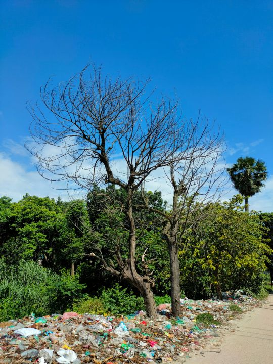 Birzgalē sūdzas par piemēslošanu
