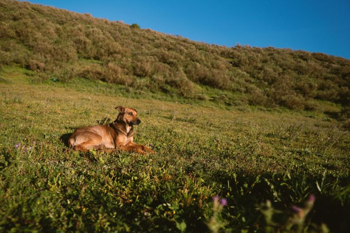 Trešdien gaiss iesils līdz +25 grādiem