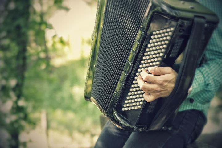 Ikšķiles Mūzikas un mākslas skolas akordeonistu koncerts 