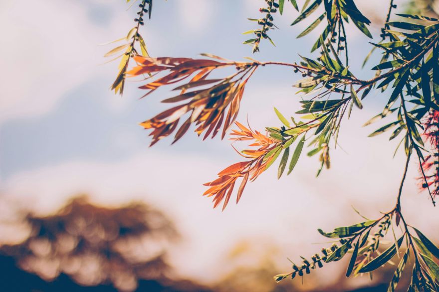 Otrdien spīdēs saule un būtiski nokrišņi nav gaidāmi