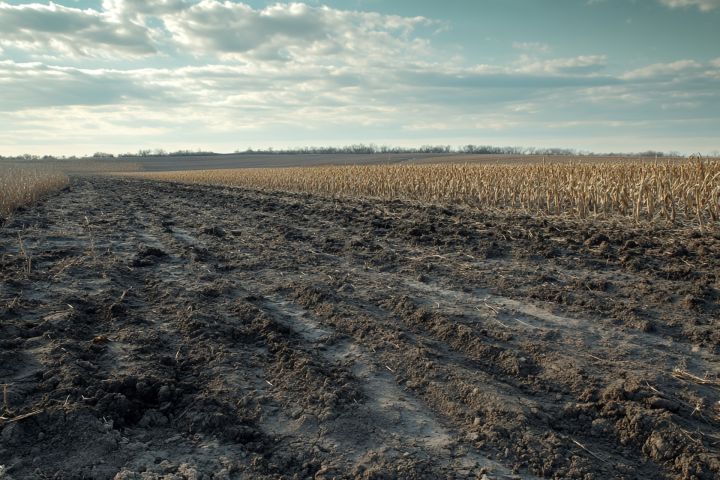 Ogresgala pagastā sūdzas par mēslu smaku
