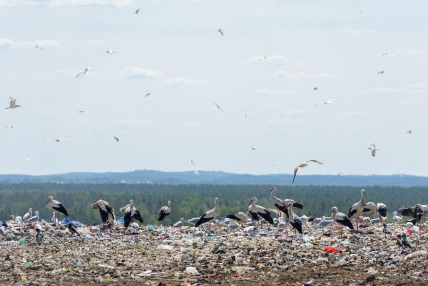 Pieņemts Viduslatvijas reģionālais atkritumu apsaimniekošanas plāns