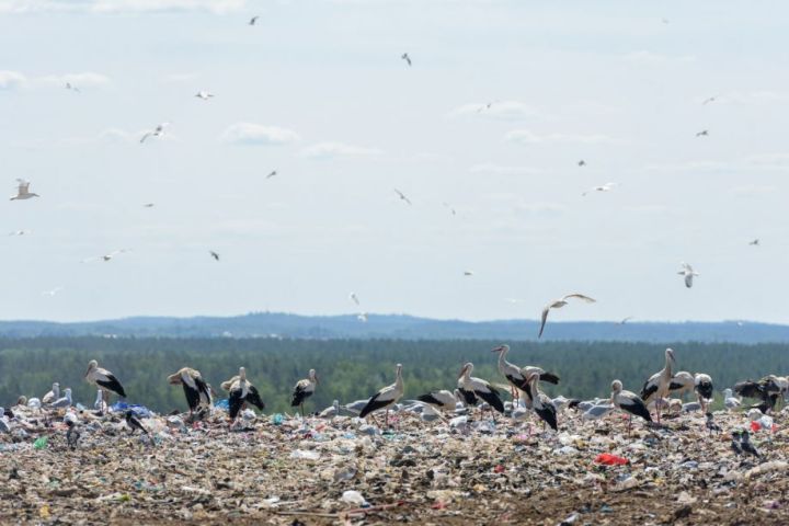 Pieņemts Viduslatvijas reģionālais atkritumu apsaimniekošanas plāns