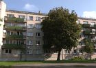 Attēls rakstam: Kastaņkoks pret sauli - Ogres iedzīvotāja sašutusi par koku pretī mājas logiem