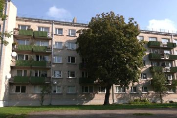 Attēls rakstam: Kastaņkoks pret sauli - Ogres iedzīvotāja sašutusi par koku pretī mājas logiem