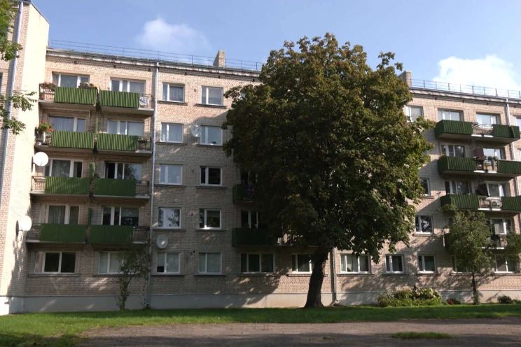 Attēls rakstam: Kastaņkoks pret sauli - Ogres iedzīvotāja sašutusi par koku pretī mājas logiem