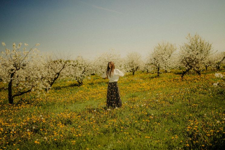 Attēls rakstam: Nedēļa iesāksies ar saulainu un sausu dienu