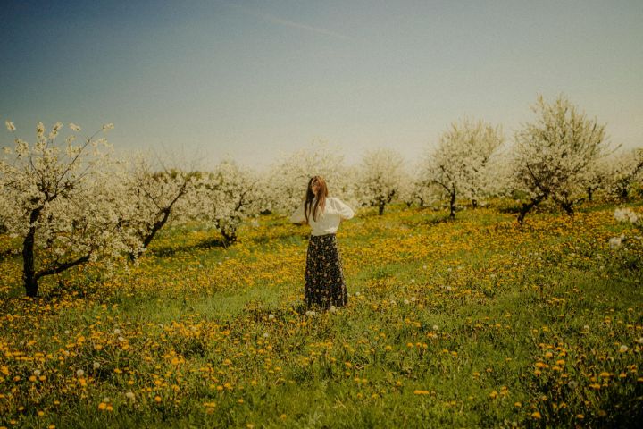 Nedēļa iesāksies ar saulainu un sausu dienu