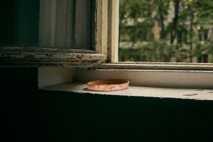 Attēls rakstam: "Kāpņutelpa smird, atver logu - smird" - ogrēnieši dalās pieredzē, kā cīnīties ar kaimiņu, kurš smēķē zāli