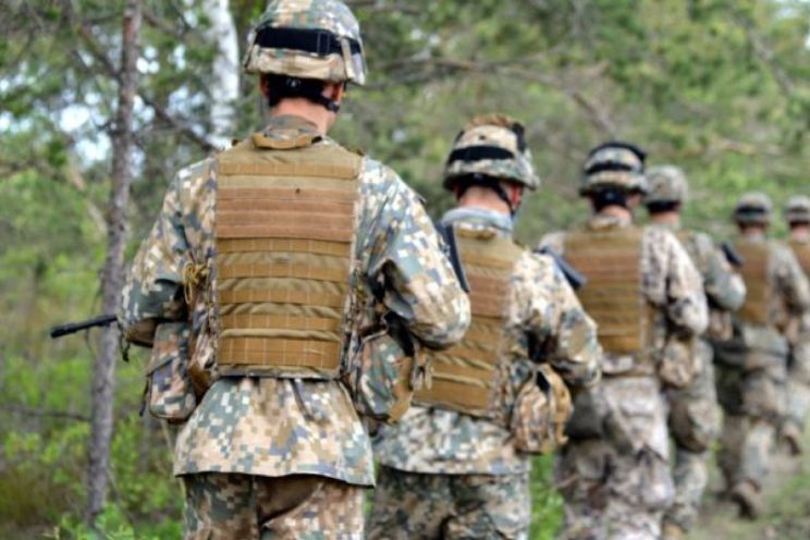 Attēls rakstam: Līdz novembrim Tīnūžu un Rembates pusē varēs manīt militāro tehniku un  karavīrus, taču uztraukumam nav pamata