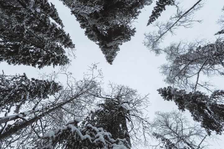 Februāra vidus Latvijā bijis trīs grādus aukstāks par normu