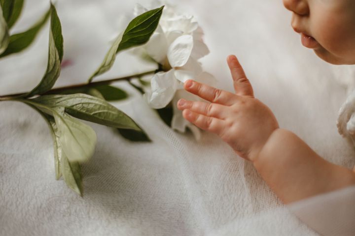 Augusta pirmajās dienās Ogres novadā reģistrēti 6 jaundzimušie un 6 mūžībā devušies novadnieki