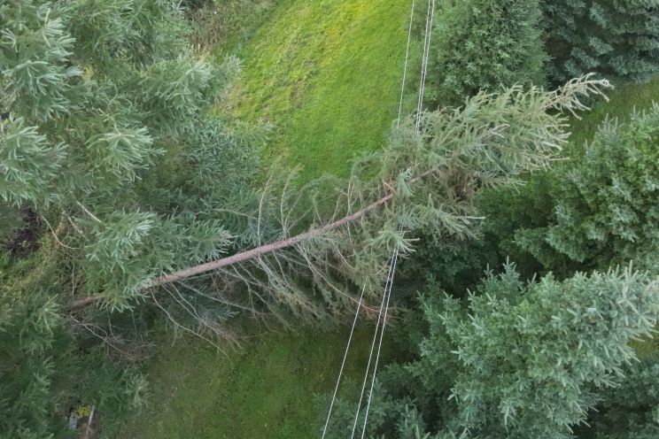 Attēls rakstam: 96% klientu gaisma ieslēgta! Eksperti skaidro, kāpēc vietām rodas atkārtoti elektroapgādes pārtraukumi