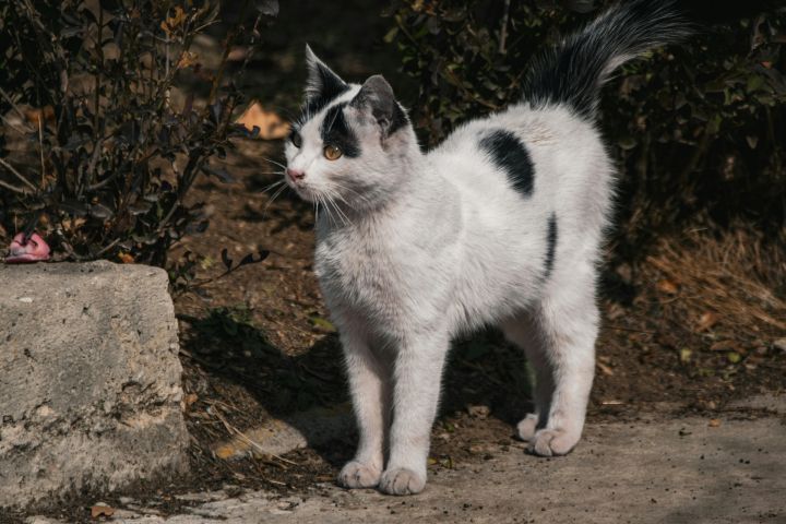 Ogrē gaiss iesils līdz +10 grādiem