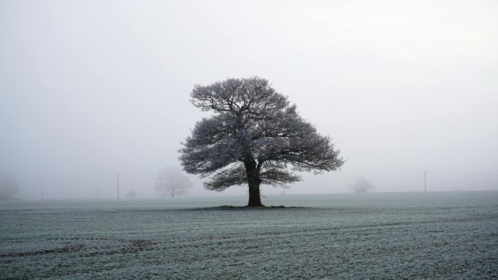 Ceturtdien daudzviet snigs un gaidāma atkala